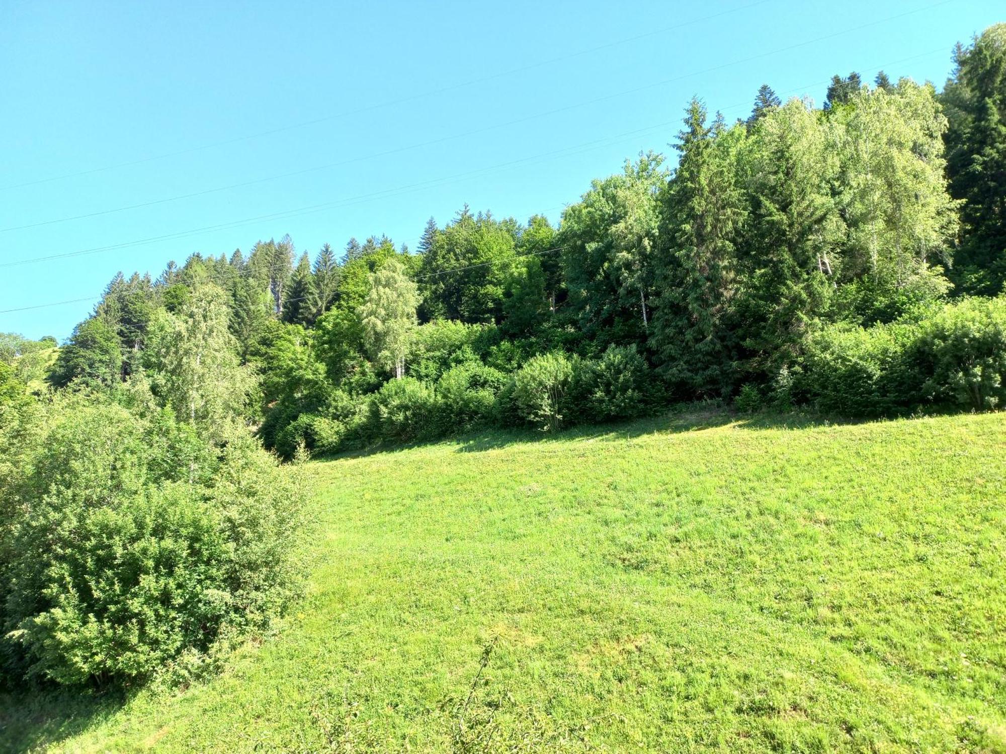 Apartmán Landhof Kreuzsalgut Wagrain Exteriér fotografie